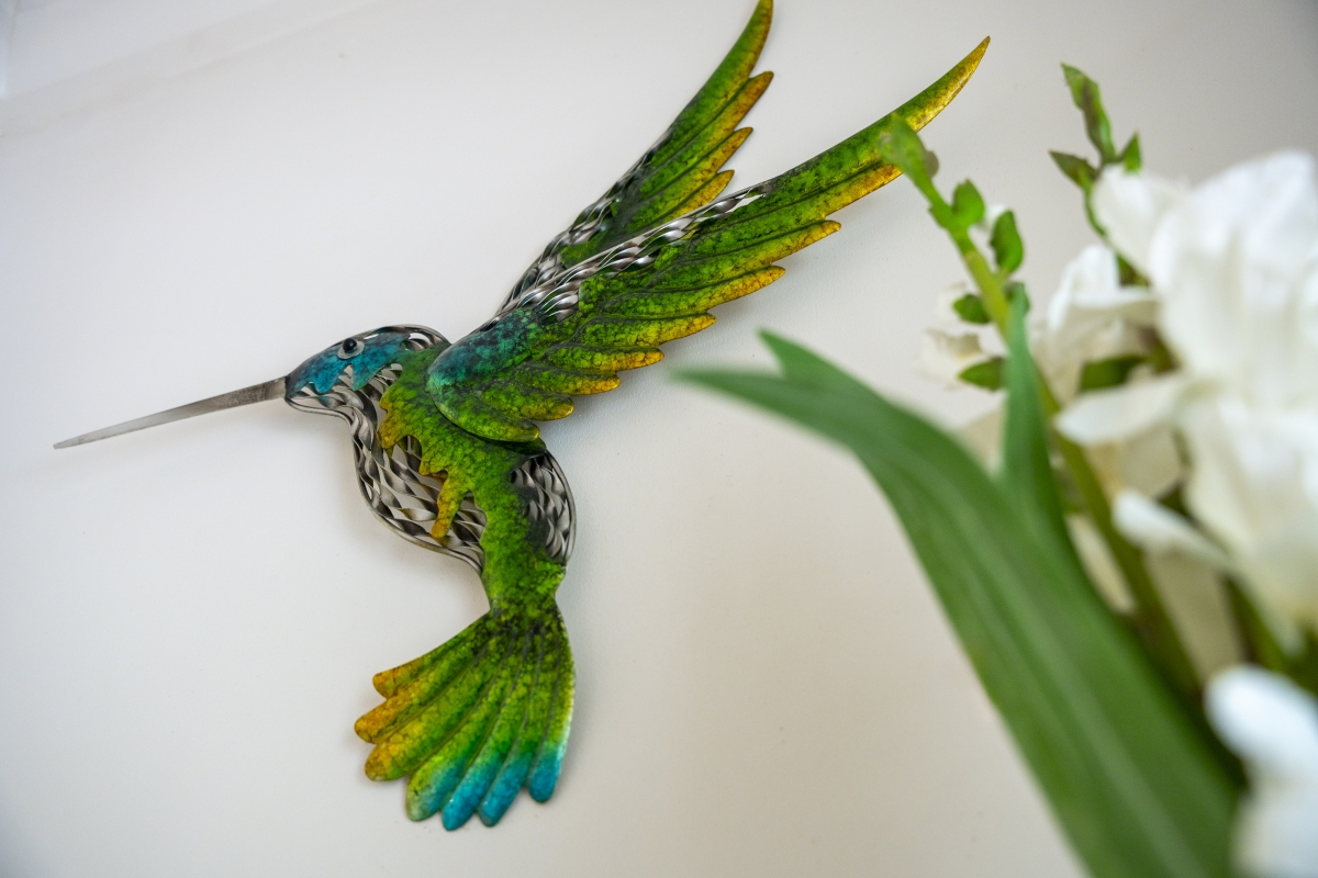 Humming Bird